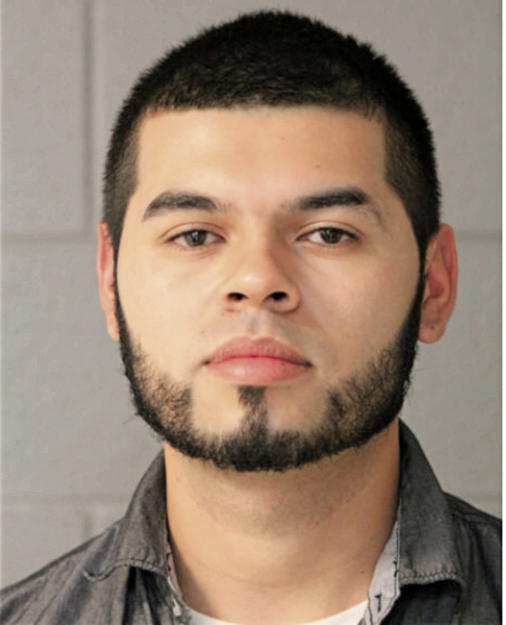 CESAR A ORTIZ, Cook County, Illinois