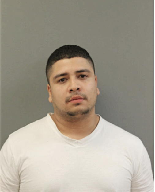 MIGUEL A OSTERLING, Cook County, Illinois