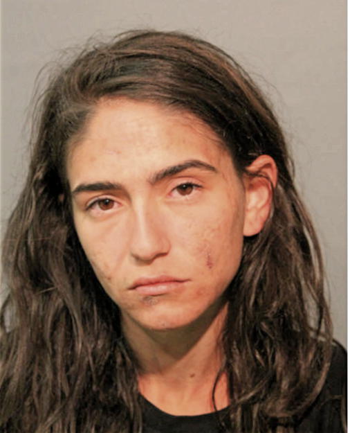 ANGELA C PAGONE, Cook County, Illinois