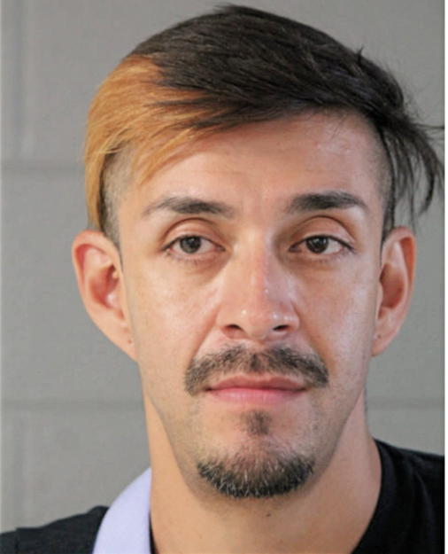 DAVID V PAVON, Cook County, Illinois