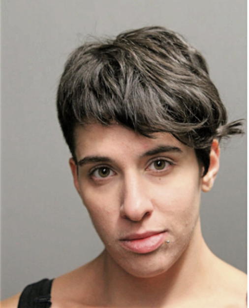 JAMI F RIMERMAN, Cook County, Illinois
