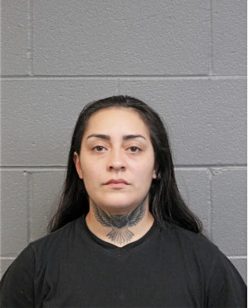 ANNISSA SANCHEZ, Cook County, Illinois