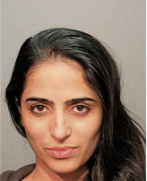 HANEEN SBEIH, Cook County, Illinois
