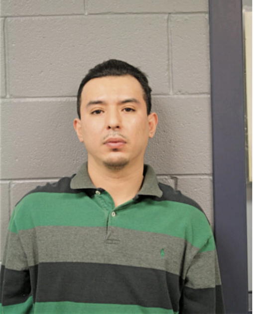 JAVIER A SERVIN, Cook County, Illinois