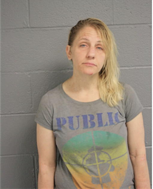 ANDREA R SOLOMON, Cook County, Illinois