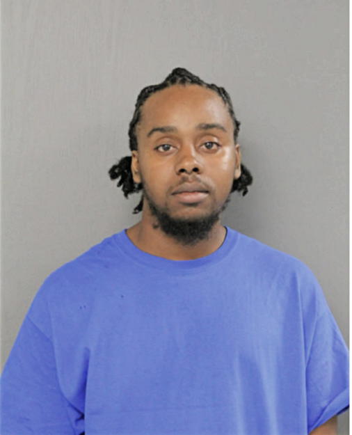 REGINALD R WILLIS, Cook County, Illinois
