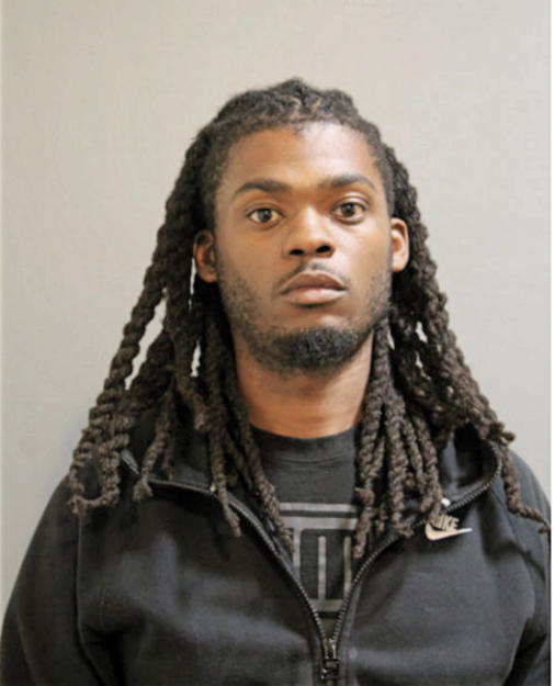 PATRICK P ARNOLD, Cook County, Illinois