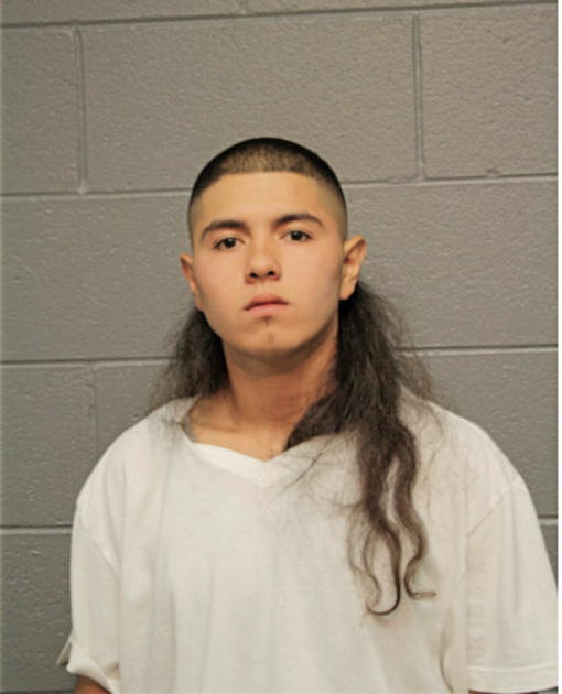 PAUL E BELLO, Cook County, Illinois
