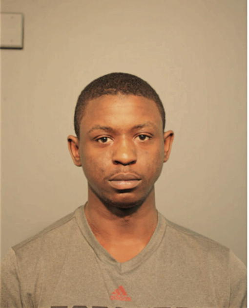 NORMAN J BRADLEY, Cook County, Illinois