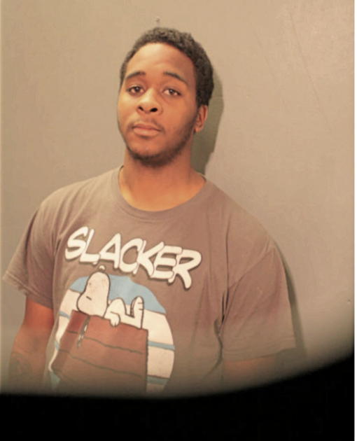 DONDIAGO L BROWN, Cook County, Illinois