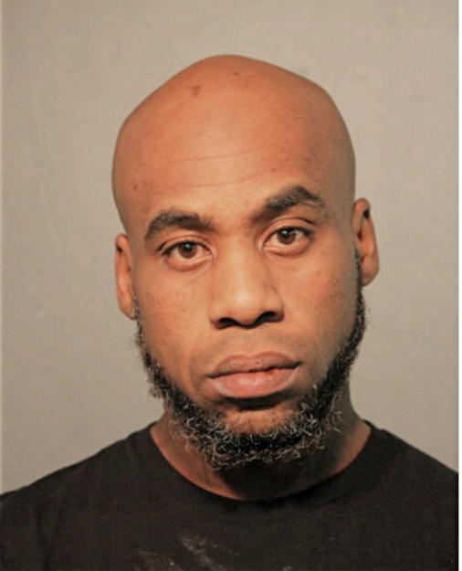 MICHAEL J DAWSON, Cook County, Illinois