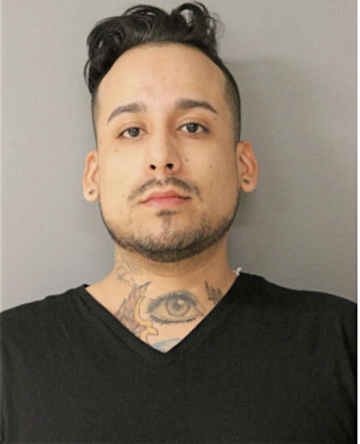 ROGELIO GARCIA, Cook County, Illinois