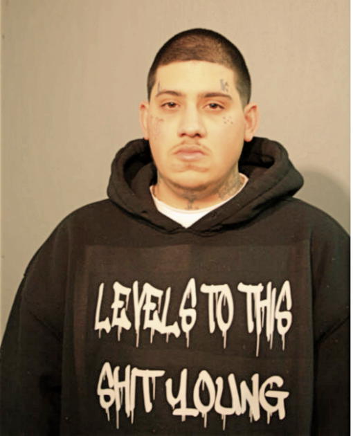 SHAWN ALY GHAZIANI, Cook County, Illinois