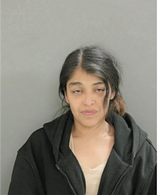VERONICA L GUZMAN, Cook County, Illinois