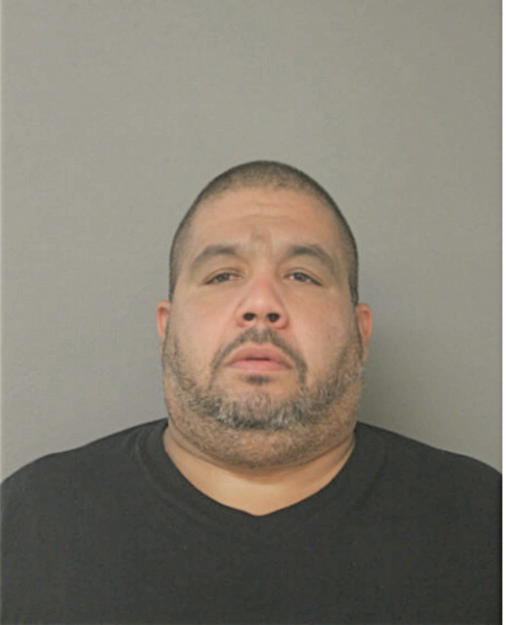LUIS A IRIZARRY, Cook County, Illinois