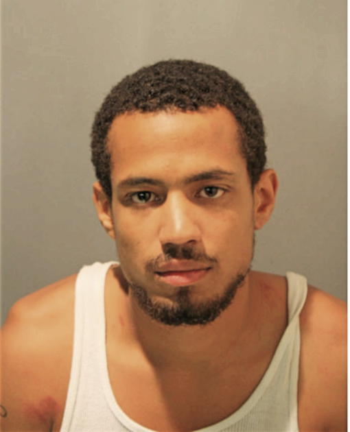 ROBERT V JOHNSON, Cook County, Illinois