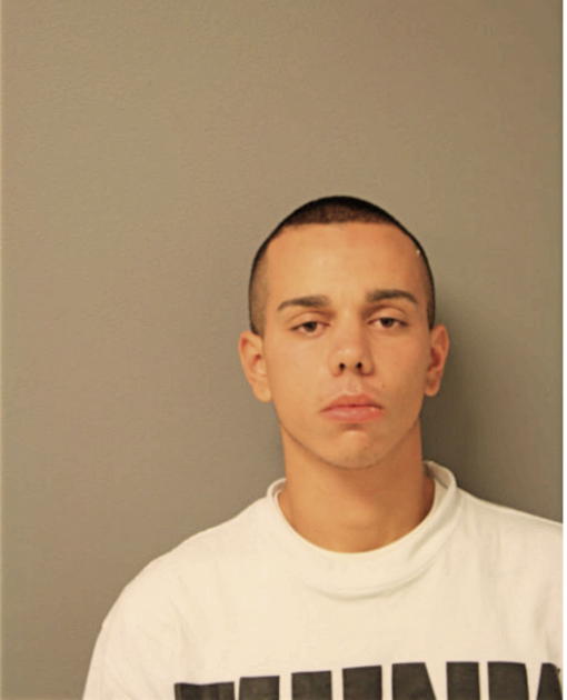 DAMION E LARIOS, Cook County, Illinois