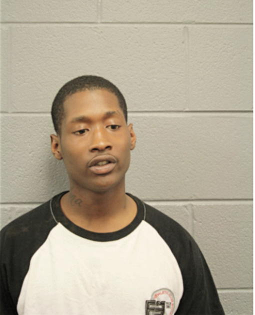 NYJEL P MCGEE, Cook County, Illinois