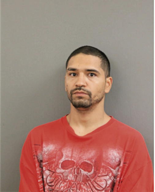 SILVINO M MOLINA, Cook County, Illinois