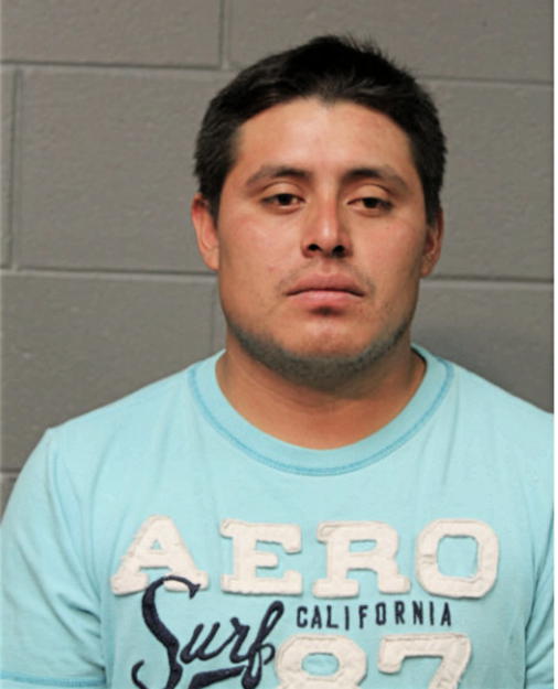 ANDRES OTAPA, Cook County, Illinois