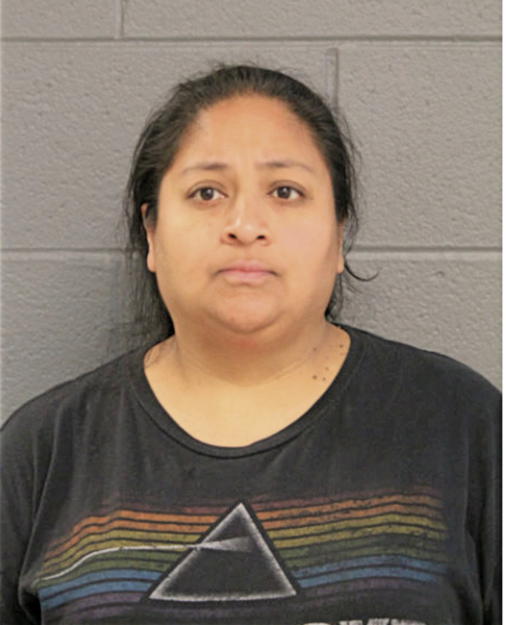 ALEJANDRA V PALOMINO, Cook County, Illinois