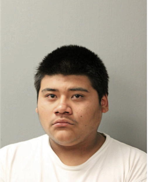DAMIAN D REYES, Cook County, Illinois