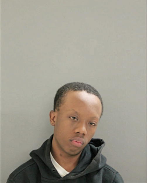 DAVID L ROBINSON, Cook County, Illinois