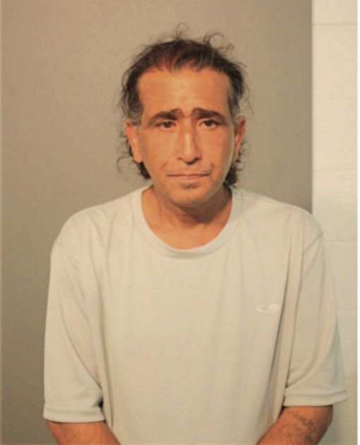 HASSAN AL SHWAILY, Cook County, Illinois