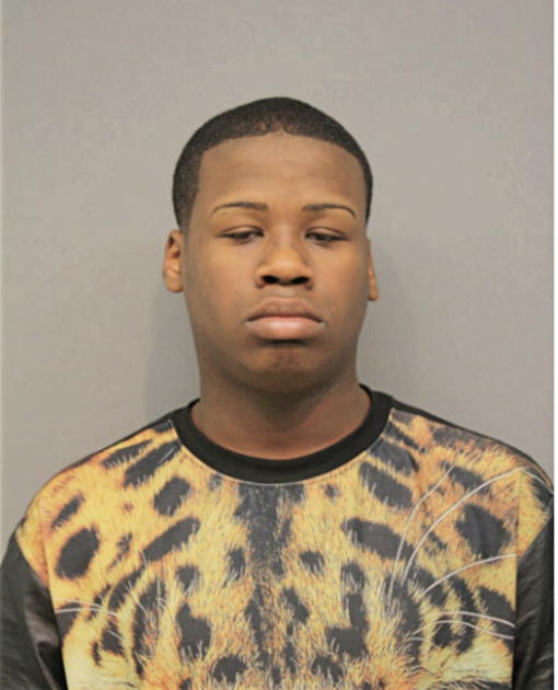 BRIAN A ULMER, Cook County, Illinois