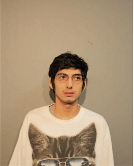 ALONZO C VEGA, Cook County, Illinois