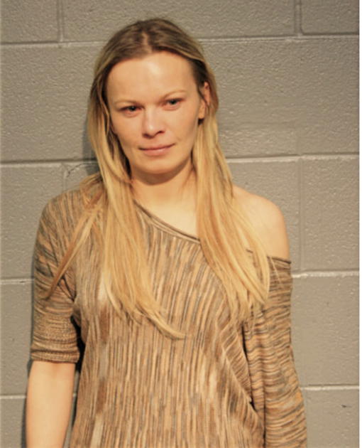 GOSIA ZAMEL, Cook County, Illinois