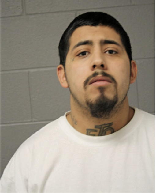 GUILLERMO ZAMUDIO, Cook County, Illinois