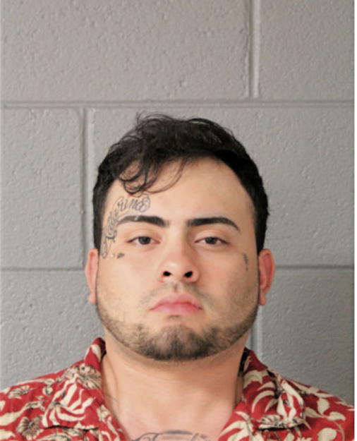 MANUEL A ALANIS, Cook County, Illinois