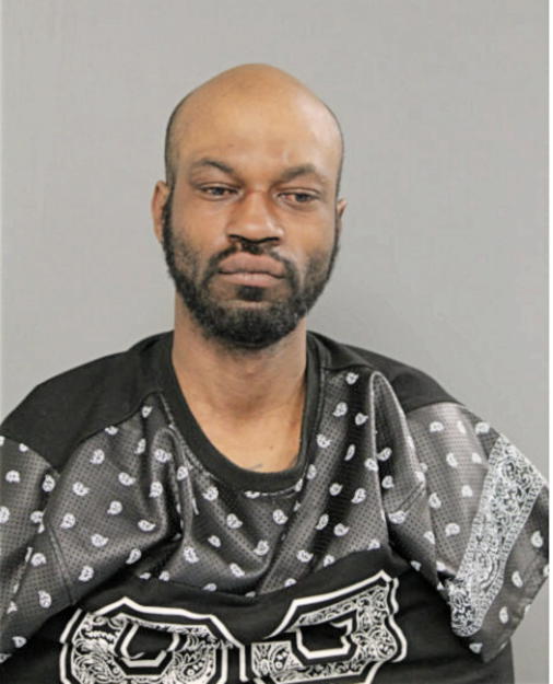 ANTON H BALDWIN, Cook County, Illinois