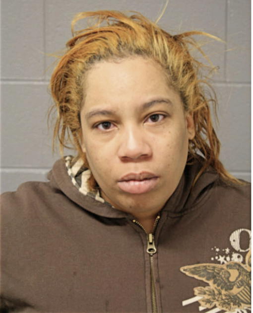ERIKA L BISHOP, Cook County, Illinois