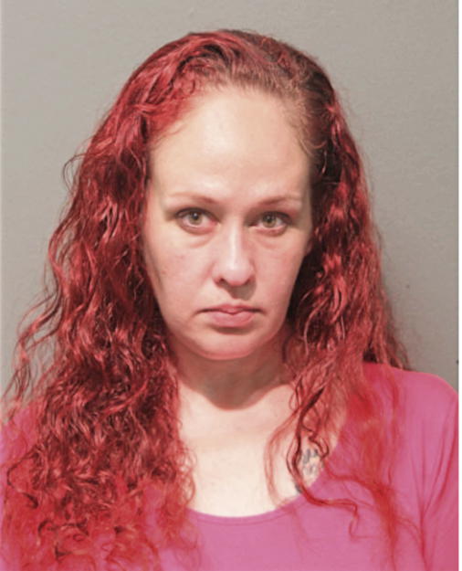 AMBER A CEPELA, Cook County, Illinois