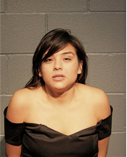 ALEJANDRA L CORRAL, Cook County, Illinois
