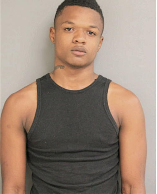 DANA C HILSON, Cook County, Illinois