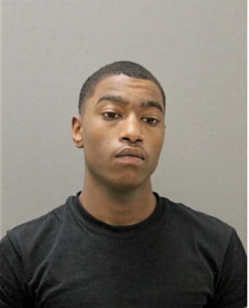 MIKHAIL A HORTON, Cook County, Illinois