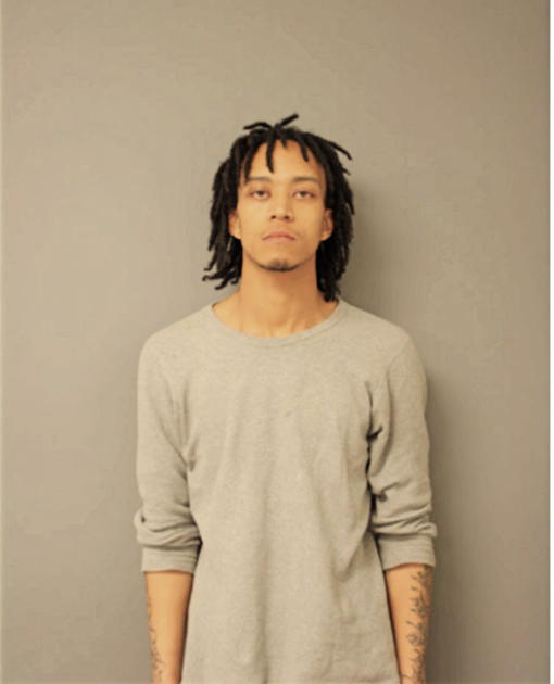 TERRELL JOHNSON, Cook County, Illinois