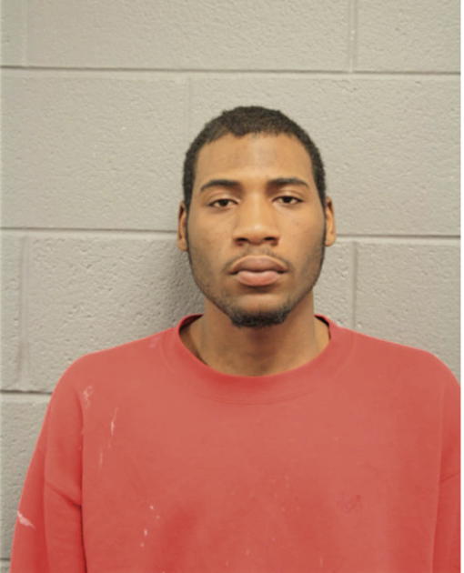 BRIAN LEWIS, Cook County, Illinois