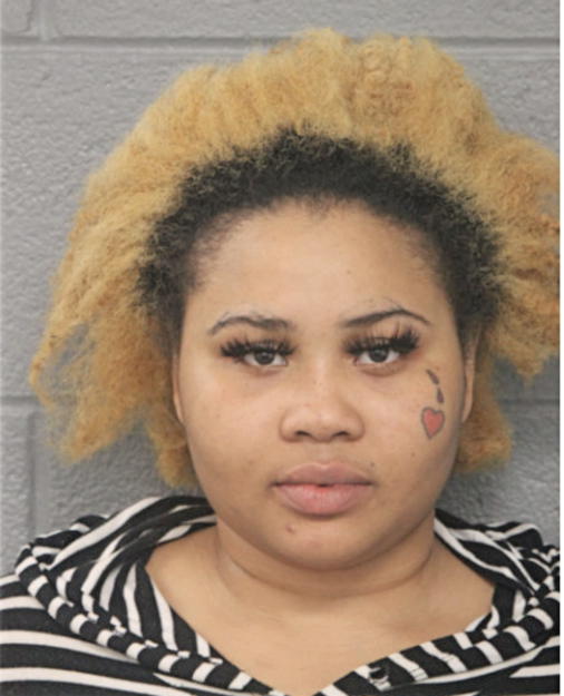 PAULINA D NOLTON, Cook County, Illinois