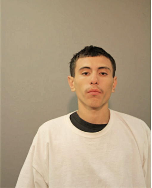 DIEGO PEREZ, Cook County, Illinois