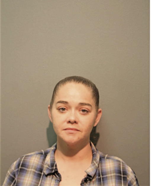 AMANDA K PRYER, Cook County, Illinois