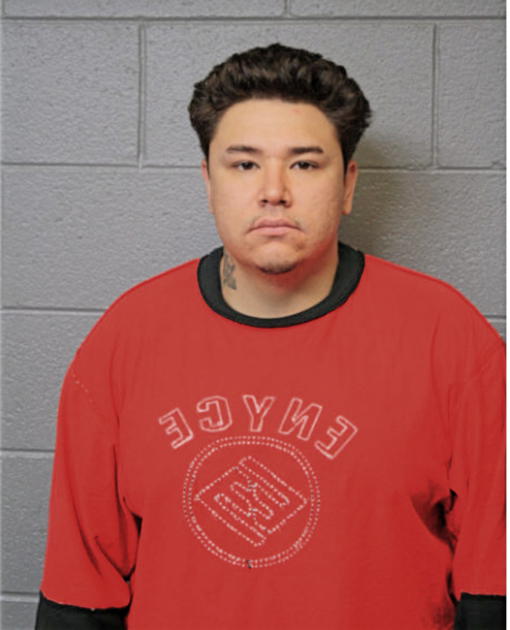 RICHARD J REYNA, Cook County, Illinois