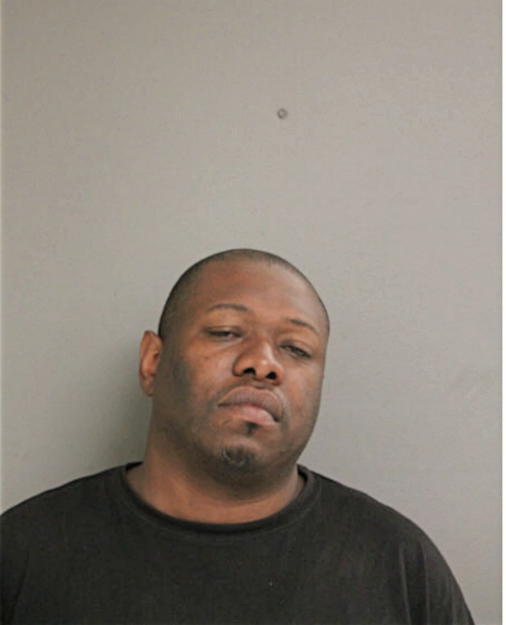 PETER L RHODES, Cook County, Illinois