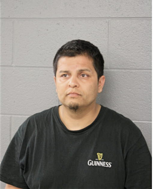 JULIO C SALDANA, Cook County, Illinois