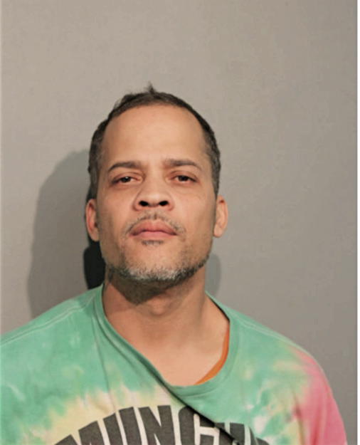 CHRISTOPHER L SKAGGS, Cook County, Illinois