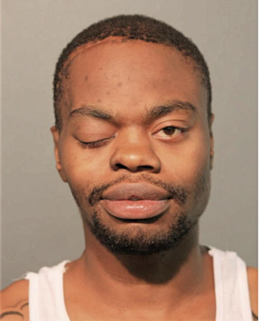 VINCENT J SNOWTON, Cook County, Illinois