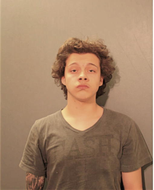 JESSE J SOMERS, Cook County, Illinois